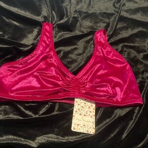 NWT Free People Size L Red Berry Velveteen Pullover Bra